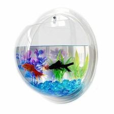 Hanging Wall Mounted Fish Bowl