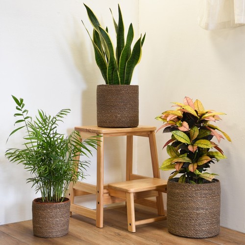 Handwoven chia seagrass fibre - handwoven,