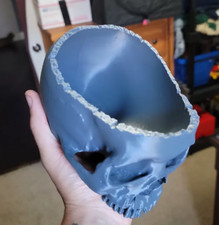 Artificial Human Skull Design