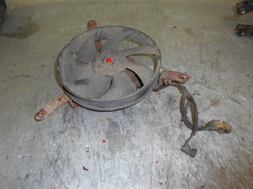 Honda blackbird rad - ,