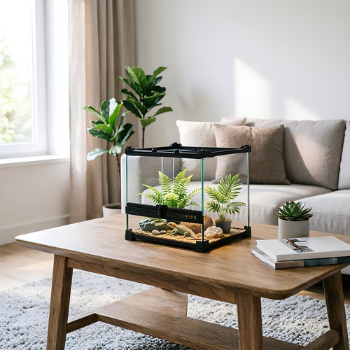Glass reptile terrarium - reptile,