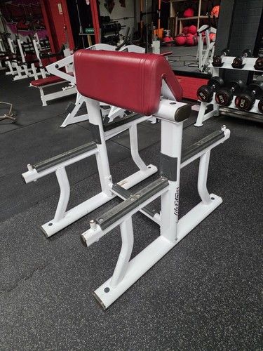 Life fitness preacher curl - fitness,