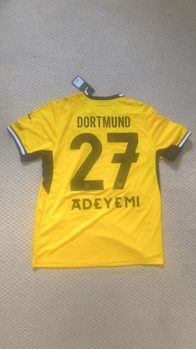 Adeyemi borussia dortmund - borussia,