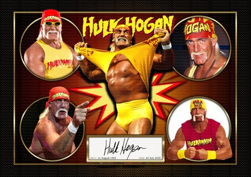 Hulk hogan wwe - v2,