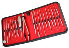 Pro DENTAL MOUTH INSPECTION