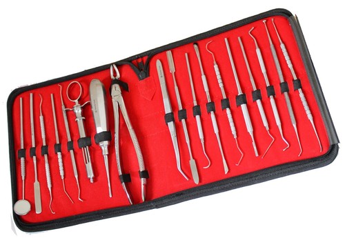 Pro dental mouth - mouth, inspection