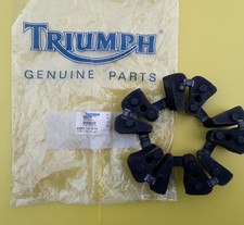 Triumph Thunderbird Tiger 885