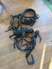 Driving Horse Harness