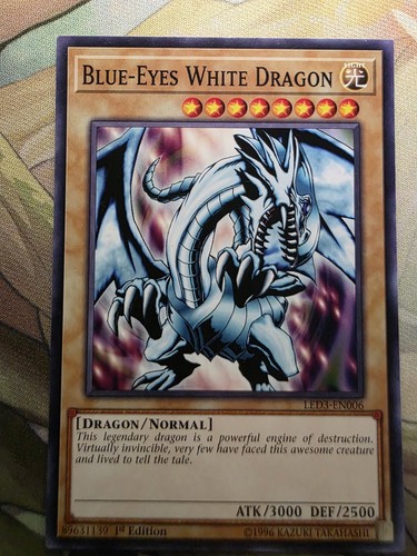 Blue eyes white - blue-eyes,