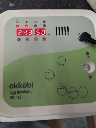 Okköbi obi egg incubator - okköbi,
