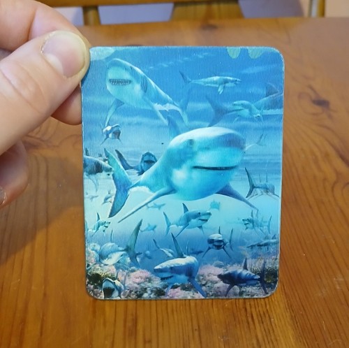 Livelife sharks fridge - 3d,