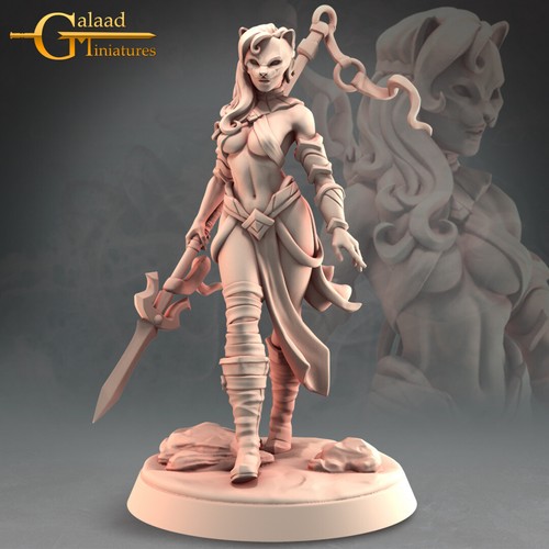 Masked fighter female galaad - fighter,