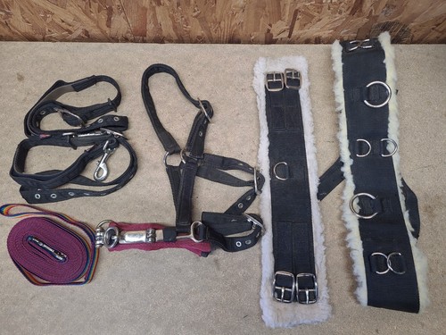 Lunging joblot pony size - joblot,pony,