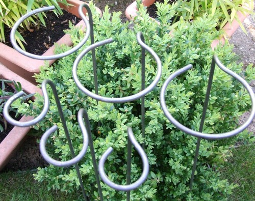Plant supports naturally - plant,