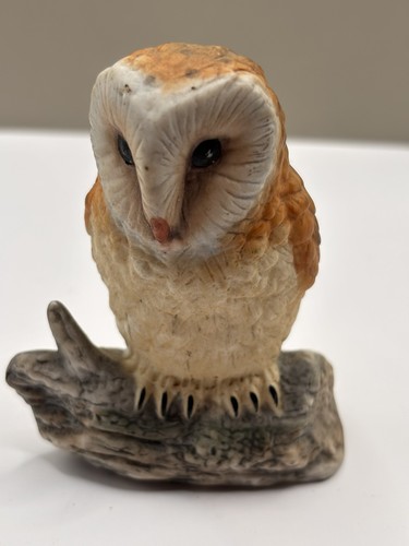 Vintage owl the leonardo - vintage,