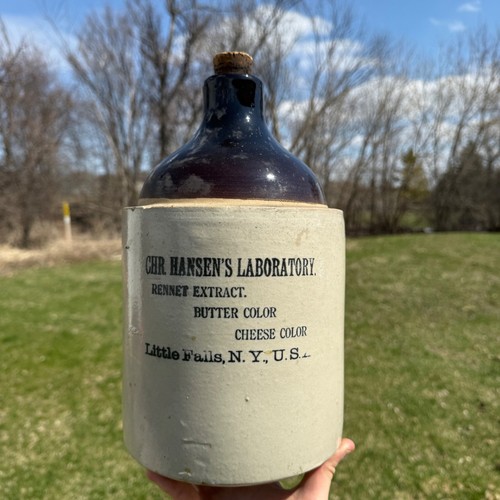 Antique hansen lab - hansen's,