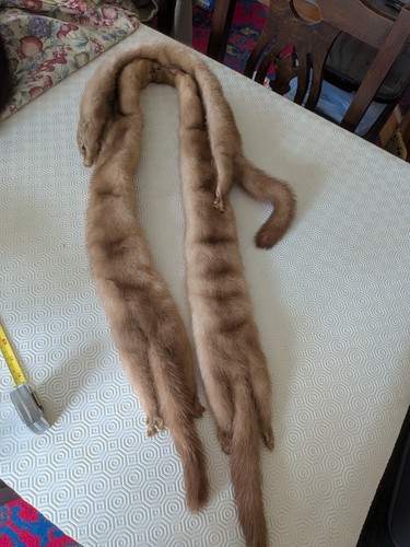 Vintage pale brown - , mink