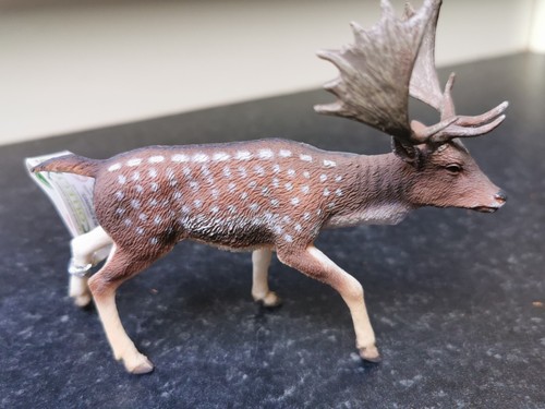 Collect fallow deer - collect, a