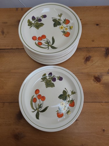 Royal worcester palissy - 10,