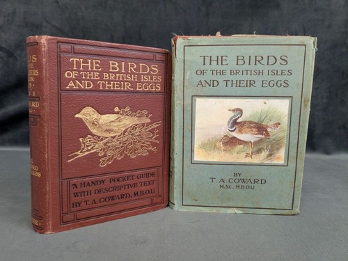 The birds - the, british