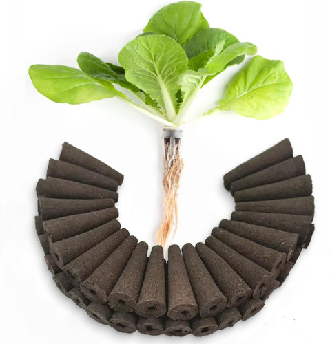 Pack hydroponic seed - 60-pack,