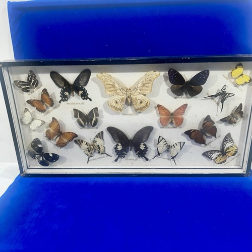 Vintage mounted framed x - mounted,