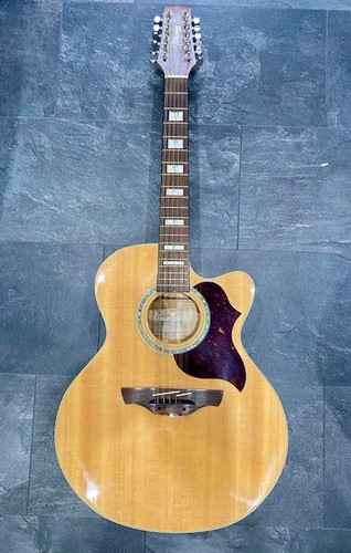 Takamine string acoustic - 12,