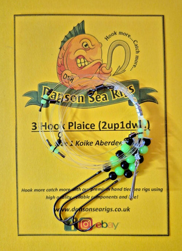 Hook plaice flapper sea - plaice,