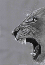  Original pencil Portrait art