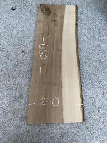Elm live waney edge slab - elm, live/