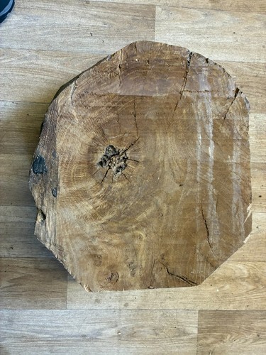 Large piece wood unknown - -,