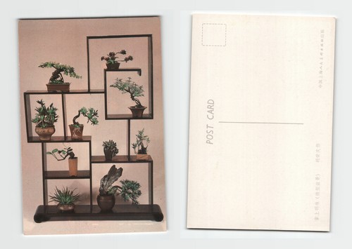 Postcard bonsai trees - -,