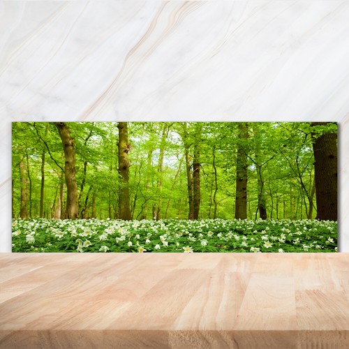 Kitchen glass splashback - kitchen,