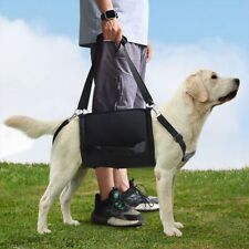 Pet Dogs Mobility Aids Support