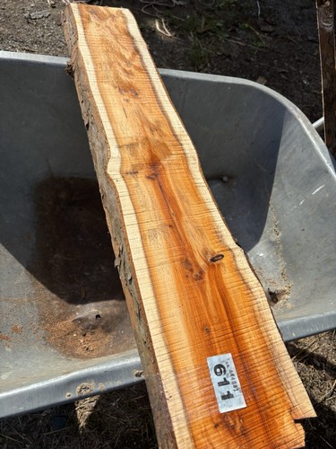 Yew plank - wood,yew,