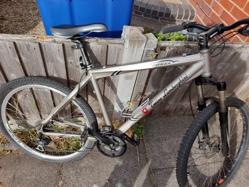 Mountain bike - mountain,