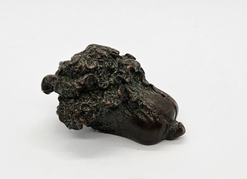 Japanese bronze vegetable - japanese,