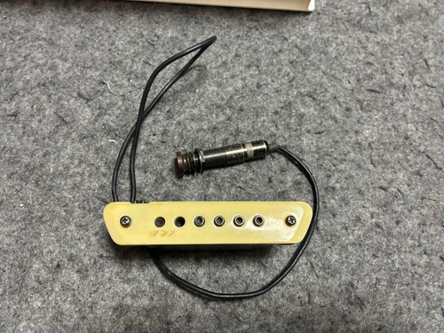 Baggs acoustic guitar - baggs,