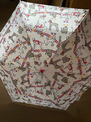 Radley london party - radley, 'party