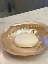 NATURAL SHELL SOAP DISH