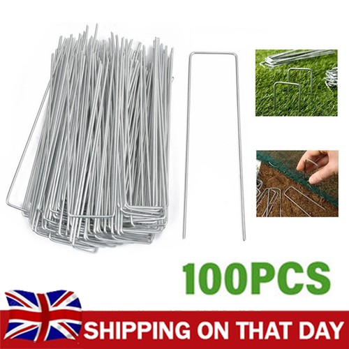 100x galvanised pins - galvanised,