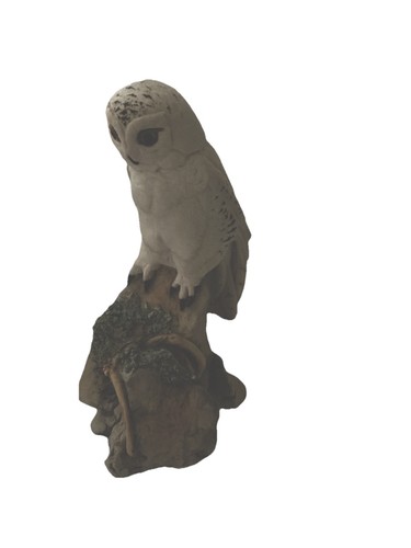 Teviotdale large owl - teviotdale,, rocks