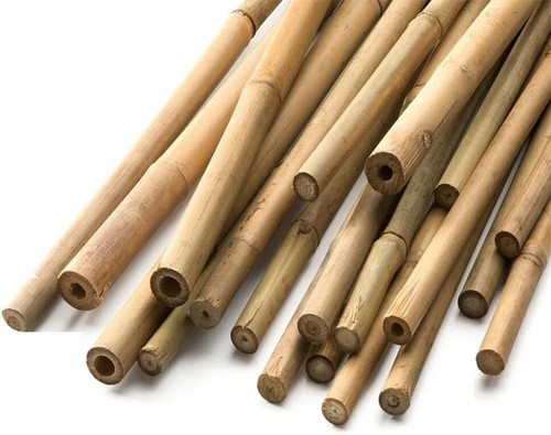 2ft 6ft bamboo canes - 6ft,