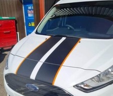 Ford Transit Connect Vinyl