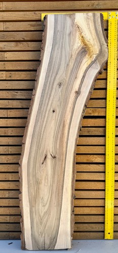 European walnut live edge slab - european,
