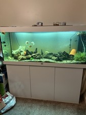 JEWEL AQUARIUM 5ft with