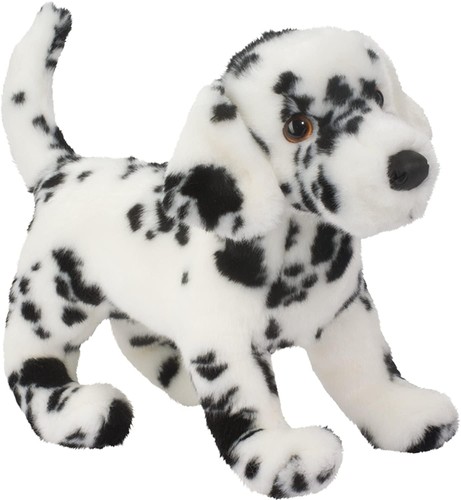 Douglas winston dalmatian dog - dalmatian,