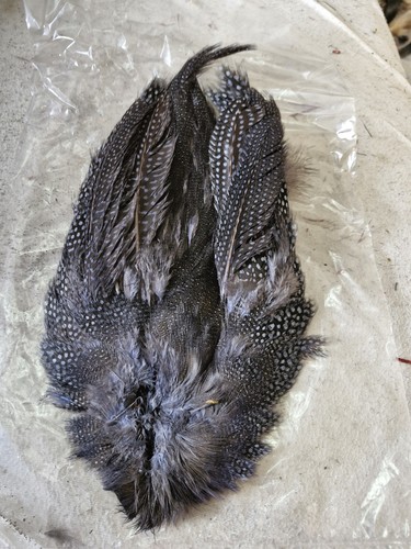 Guinea fowl red fly tying - red,
