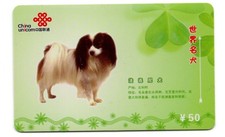 PAPILLON CUTE DOG PHONE CARD