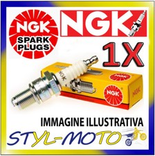 Ngk spark plug - spark, b8hs